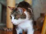 352052327_740212707862050_600125976839394800_n