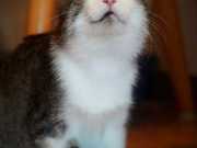 352353715_301016898923480_2738749022044127634_n