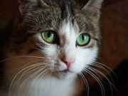 352421107_827136465436911_1661833751123135586_n