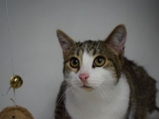 79151771_2798189883571345_2654101995777949696_o