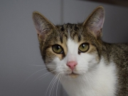 79215540_2798189033571430_3939874647100620800_o