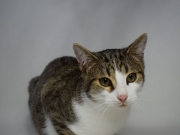 79245798_2798189936904673_3290015575178215424_o