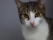 79388061_2798189616904705_3784258807916396544_o