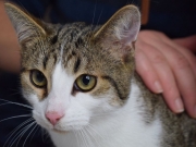 80189983_2798190243571309_314242858464837632_o