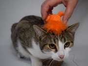 80191488_2798190413571292_3656942688634142720_o