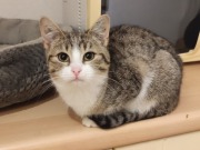 427776317_10160636124348371_2200669940339833339_n