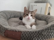 427805811_10160636125803371_1885965402972671824_n