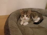 427817171_10160636126078371_2336669041405070213_n