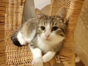 429661166_10160651859473371_2673398510974007362_n