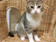 429669165_10160651860828371_3344517015035374386_n