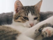 427908525_10229431149101057_8785242021169545110_n