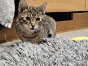 428061588_7631041953597195_2409439037338275016_n