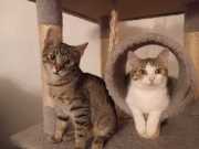 428073176_7635860896448634_3542792192066585322_n