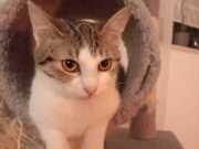 428078384_7635858673115523_2288185967404462586_n