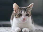 428598456_10229431149301062_8074241762526869002_n