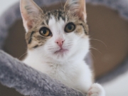 428598801_10229431148621045_8882417418348386153_n