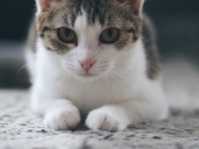 428601366_10229431148901052_4653681855672807163_n