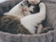 428605769_10229431148821050_3683907209509135548_n