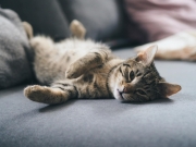 428605948_10229431243863426_593537166756943872_n