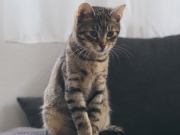 428608880_10229431242823400_748822692807379947_n