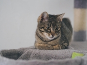 428609233_10229431243183409_8877305430949347435_n