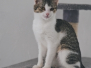 428612242_10229431148541043_1987507148653118202_n