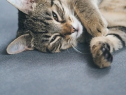 428613505_10229431242743398_2149727114970094526_n