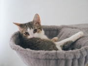 428618004_10229431149021055_8826212917963090905_n