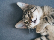 428624060_10229431243023405_2840965315353148875_n