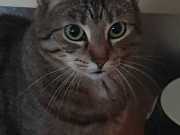 377983219_830260125261632_1184958909301411998_n