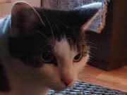 379348645_282539204668292_2251343360610226167_n