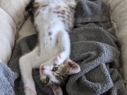 PXL_20210611_115943644