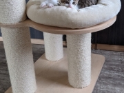 PXL_20210702_110926251