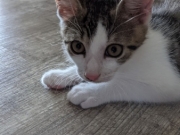 PXL_20210703_131659406