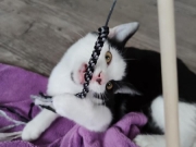 118791295_10220885143631544_4103553913015623068_n