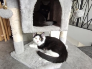 118792524_10220885142111506_797068217502501680_n