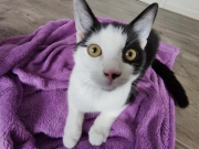 118794223_10220885148271660_6747353764364338251_n