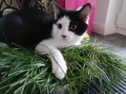 118805089_10220885162472015_2837177179032784232_n