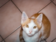 371976750_6594069480659693_8654532088431858201_n