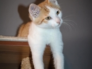 371976789_6594069310659710_8206541791503177905_n