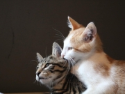 371980233_6594069730659668_8179707308343012090_n