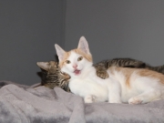 372014257_6594069173993057_5903409396151314337_n