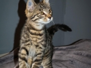 372014653_6594070027326305_4585883001989777582_n