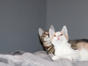 372021127_6594069543993020_3047933119904405821_n