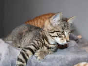 373052381_6594069810659660_2774765443410549206_n