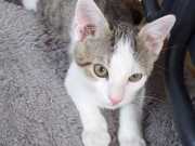 347387258_2743450695793135_3321533267715009451_n