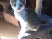 347405468_2743450622459809_6625384507060970683_n