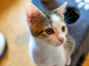 353443392_6416111295119496_387926750444819069_n