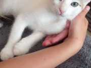 347409393_2742816252523246_1278943450299180204_n