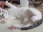 347552691_2742816299189908_4360179815516344900_n